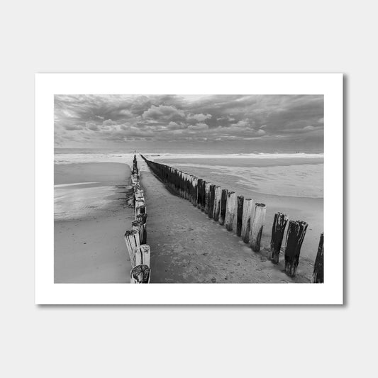 Palen op strand in Zeeland in Zwart Wit -  Poster